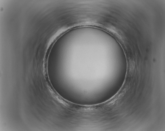 X0000067521278200604071312