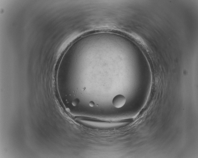 X0000067521279200604071312