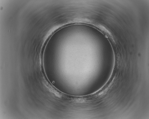 X0000067521280200604071312