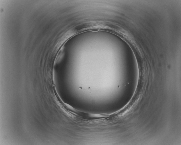 X0000067521281200604071312