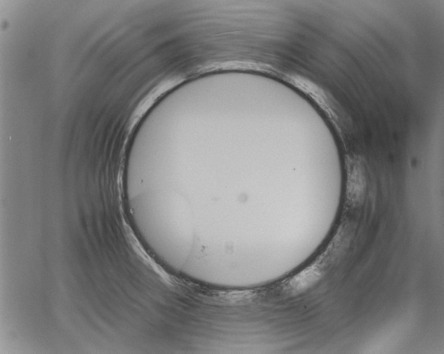 X0000067521282200604071312