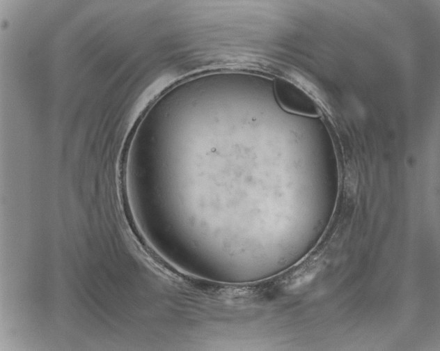 X0000067521283200604071312