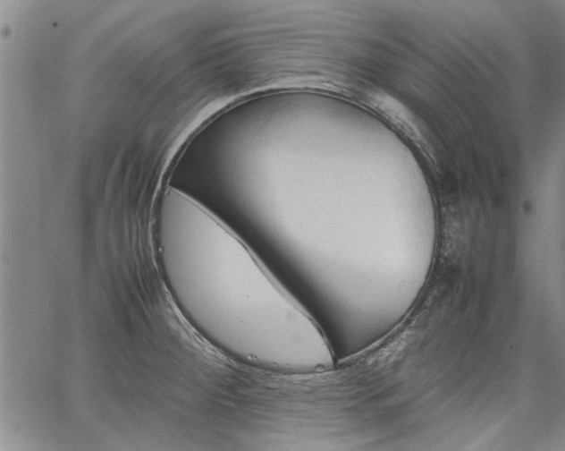 X0000067521284200604071312