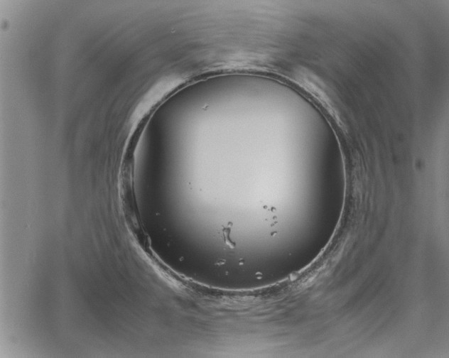 X0000067521285200604071312