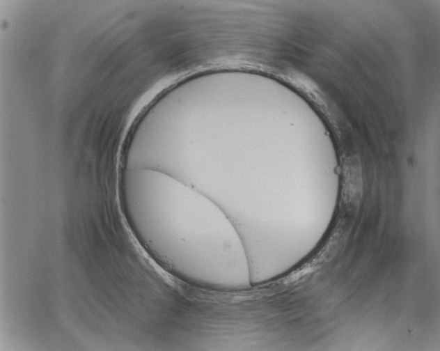 X0000067521286200604071312