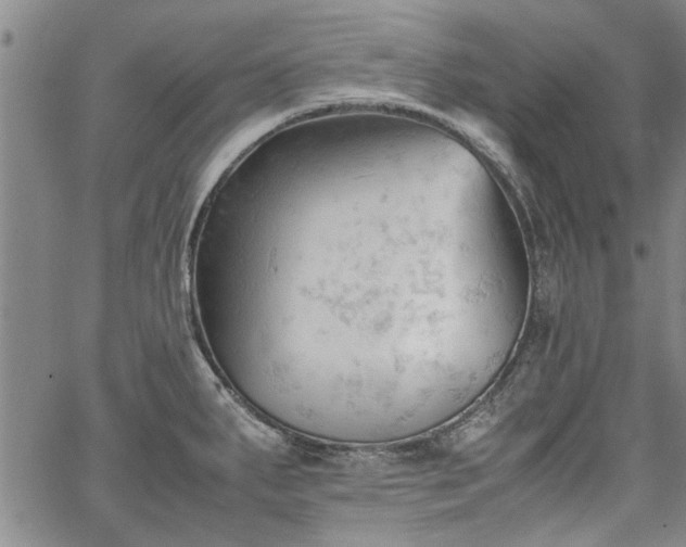 X0000067521287200604071312