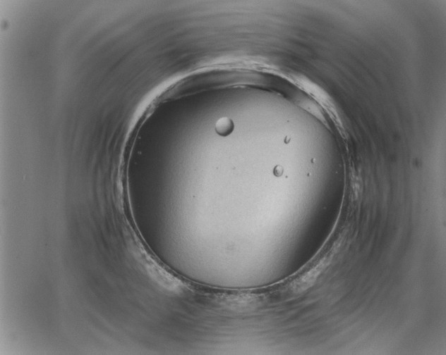 X0000067521288200604071312