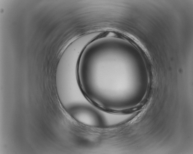 X0000067521289200604071312