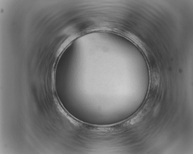 X0000067521290200604071312