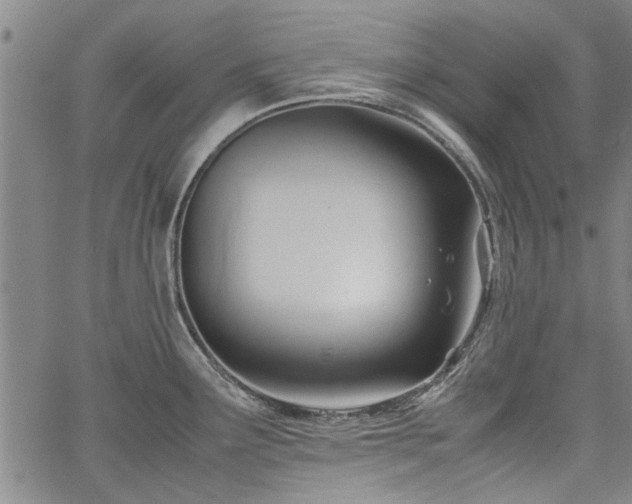 X0000067521291200604071312