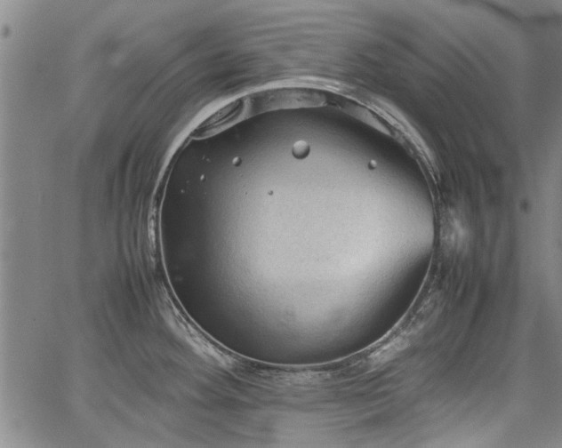 X0000067521292200604071312