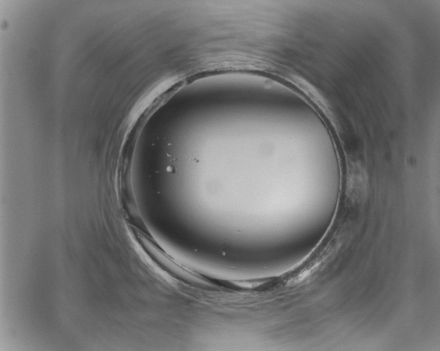 X0000067521293200604071312