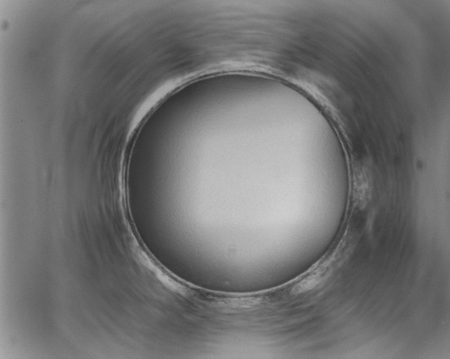 X0000067521294200604071312