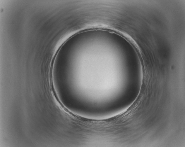 X0000067521295200604071312