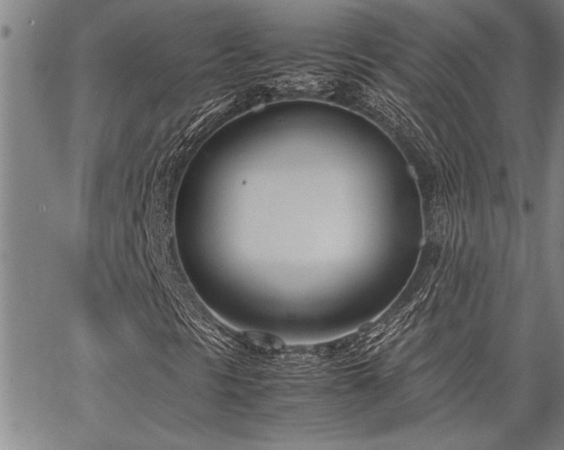 X0000067521297200604071311