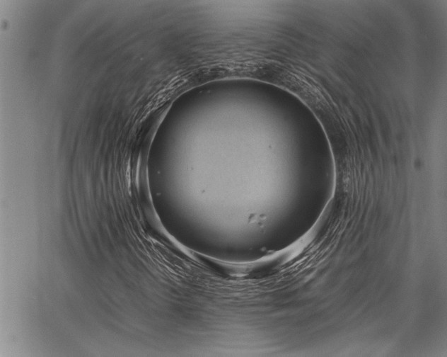 X0000067521298200604071311