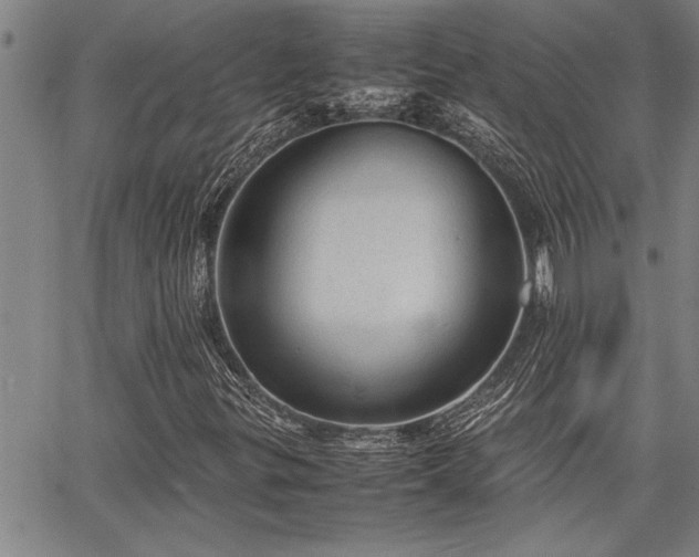 X0000067521299200604071311