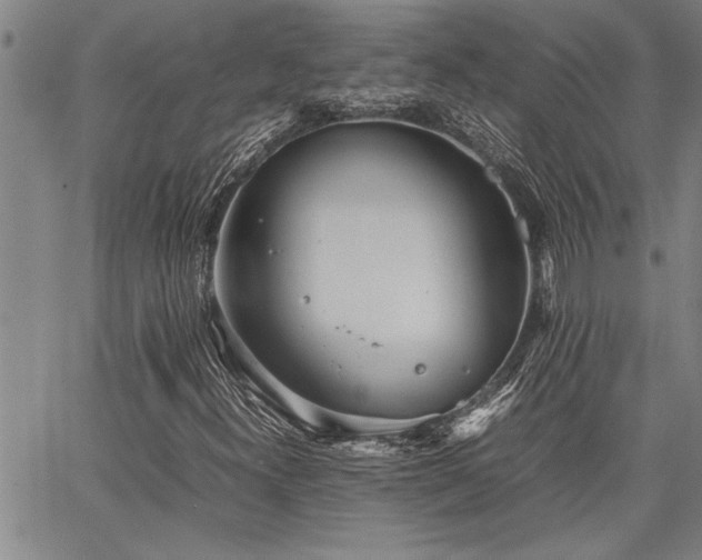 X0000067521300200604071311