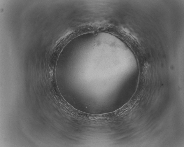 X0000067521302200604071311