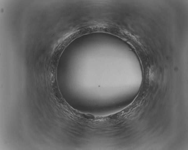 X0000067521303200604071311