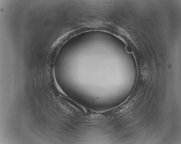 X0000067521304200604071311