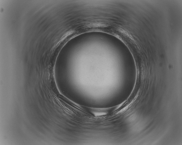 X0000067521305200604071311