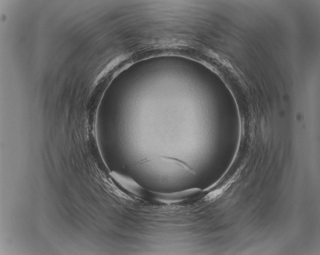 X0000067521306200604071311