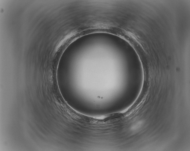 X0000067521307200604071311