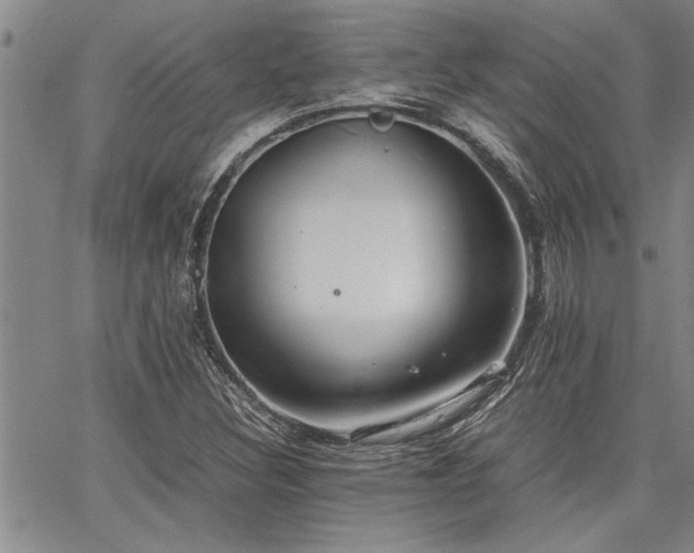 X0000067521308200604071311