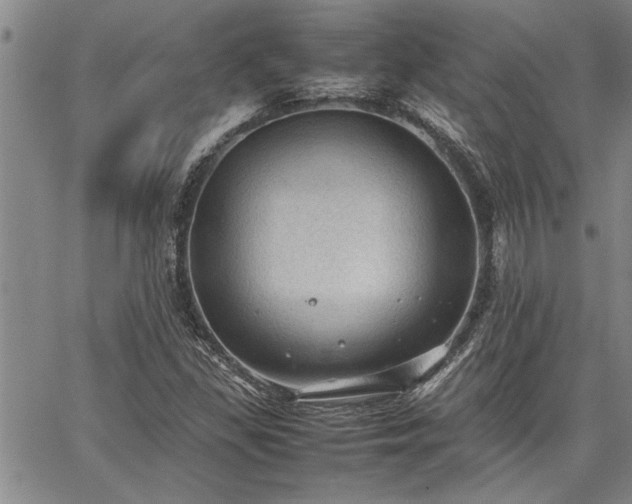 X0000067521309200604071311