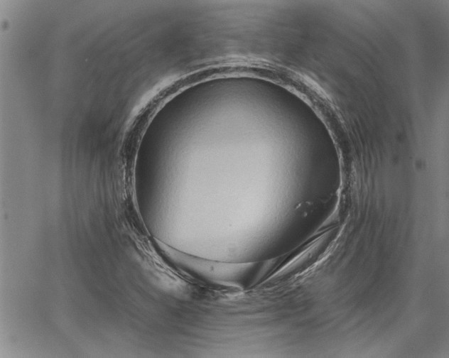 X0000067521310200604071311