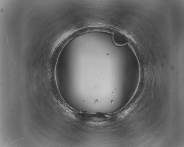 X0000067521311200604071311