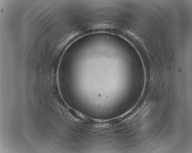 X0000067521313200604071311