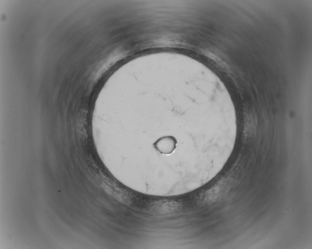 X0000067521314200604071311