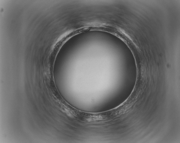 X0000067521315200604071311