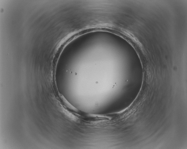 X0000067521316200604071311