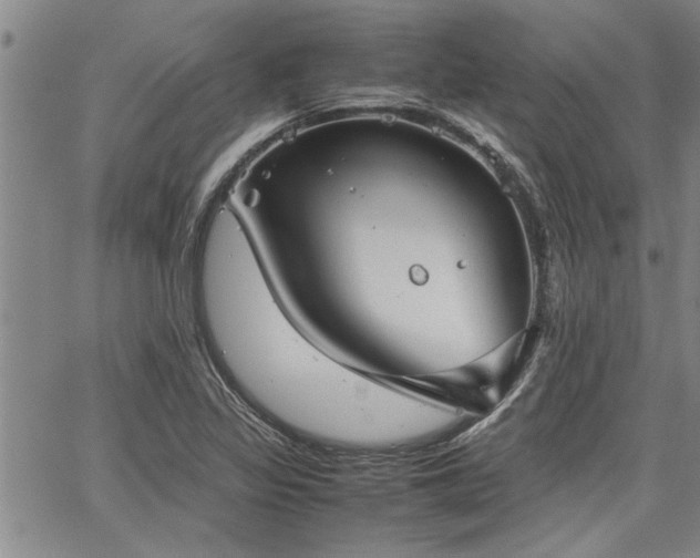 X0000067521317200604071311