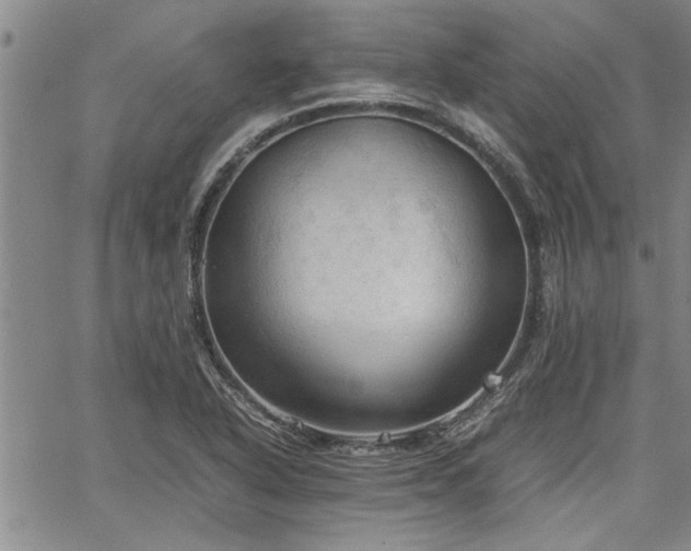 X0000067521318200604071311