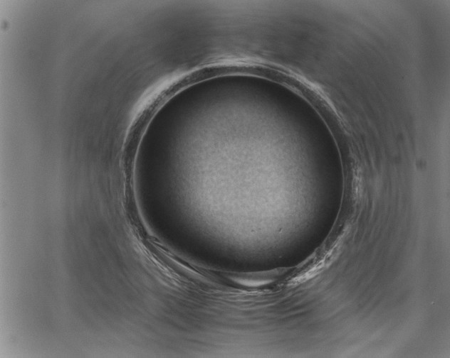 X0000067521319200604071311