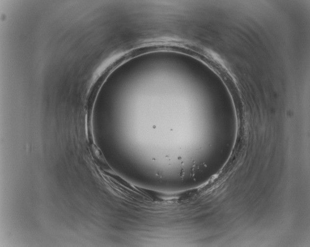 X0000067521320200604071311