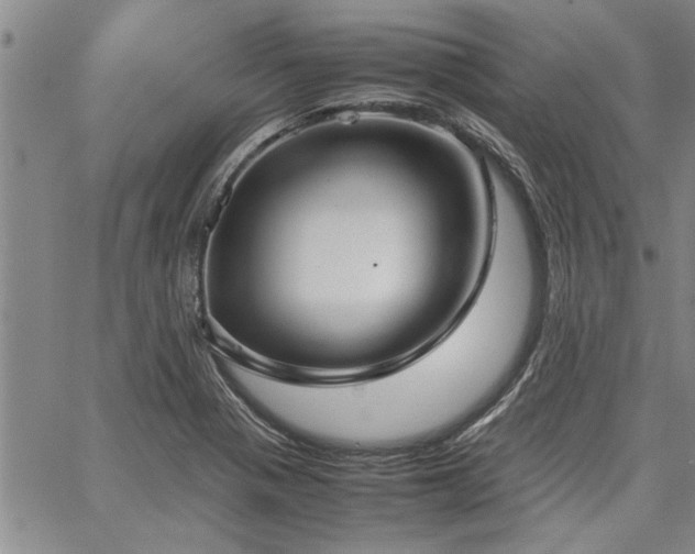 X0000067521321200604071311