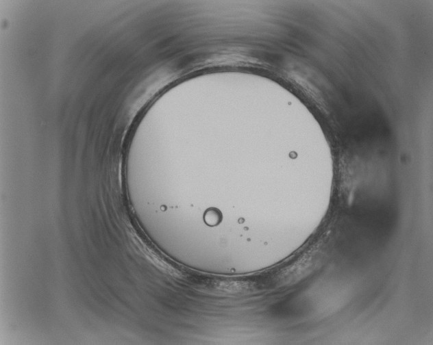 X0000067521322200604071311