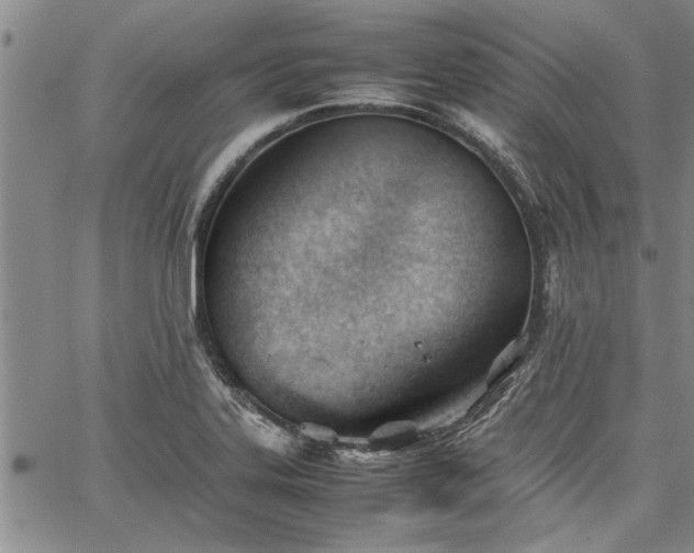 X0000067521323200604071311