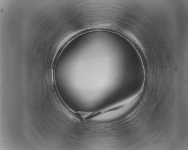 X0000067521324200604071311