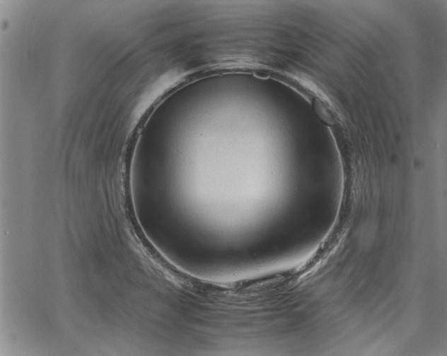 X0000067521325200604071311