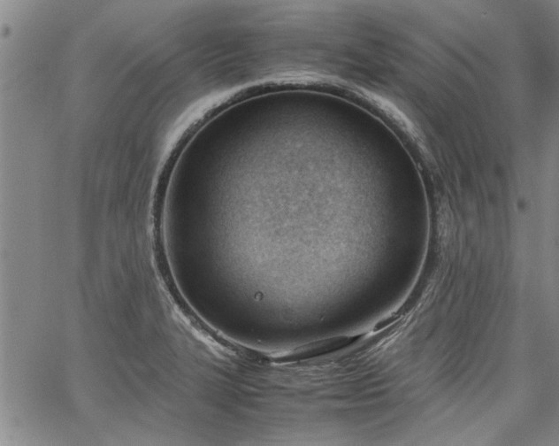 X0000067521327200604071311