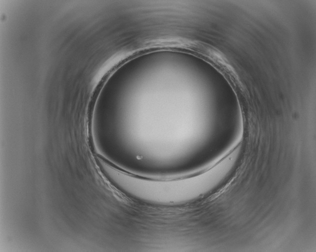 X0000067521328200604071311