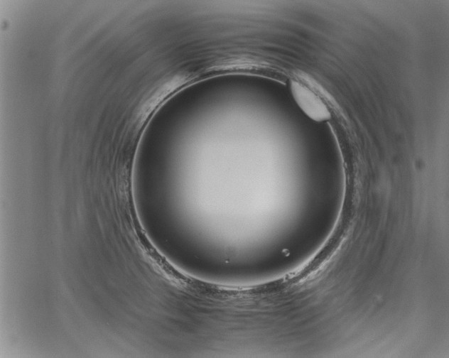 X0000067521329200604071311