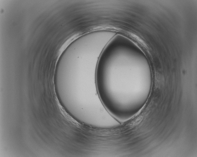 X0000067521330200604071311