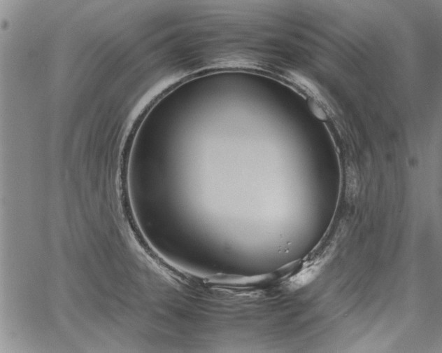 X0000067521331200604071311